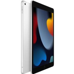 Apple iPad 10,2" (2021) Wi-Fi 256 ГБ, Silver (серебристый)